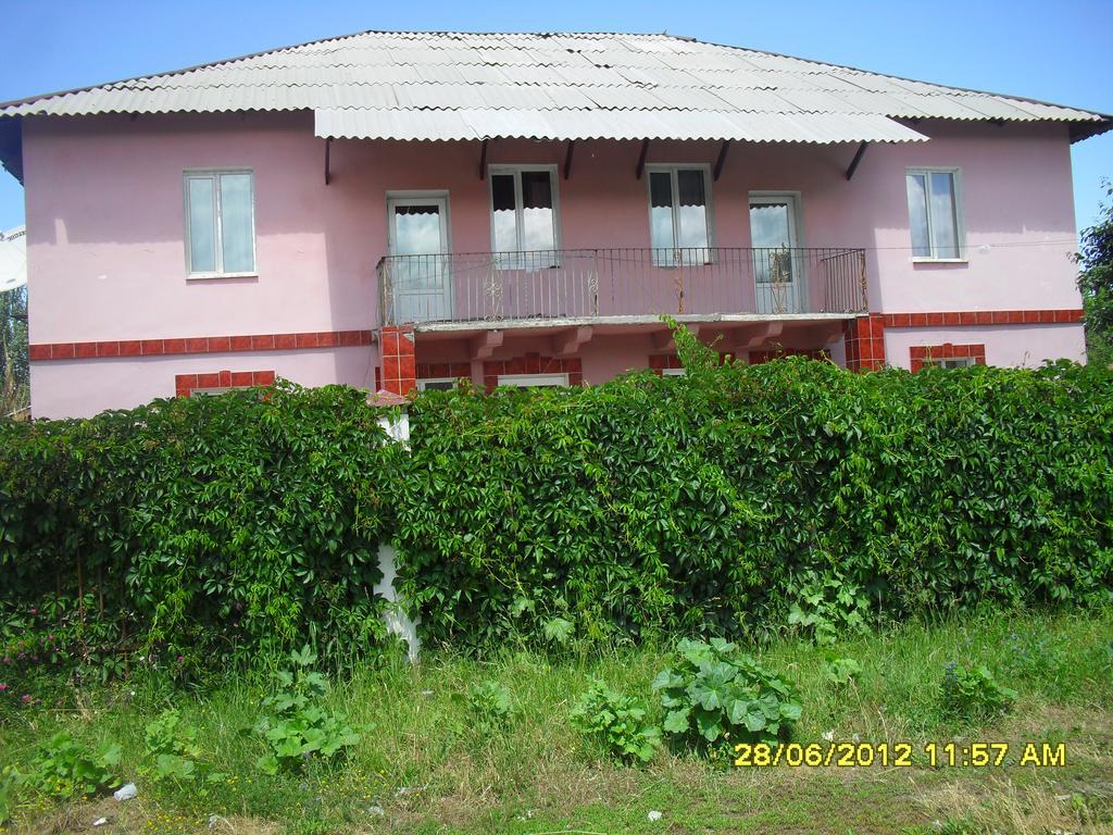 Hostel Ask Karakol Kültér fotó
